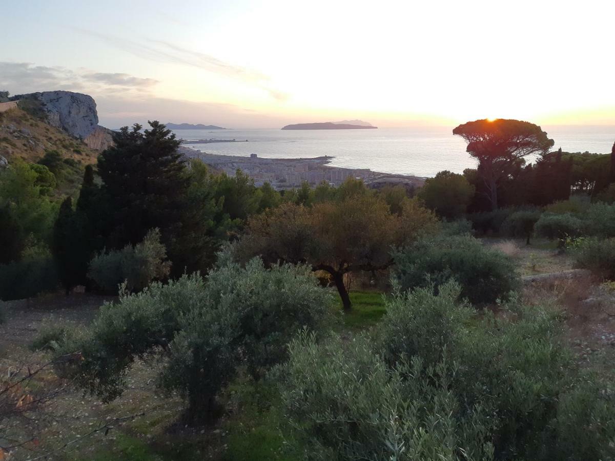 Casa "Le Terrazze" Villa Erice Exterior photo